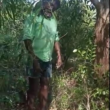 ఆంధ్రలో ఎస్సీ,ఎస్టీ పై దాడులు సర్వసాధారణం అయిపోయాయి