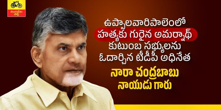 nara chandrababu naidu
