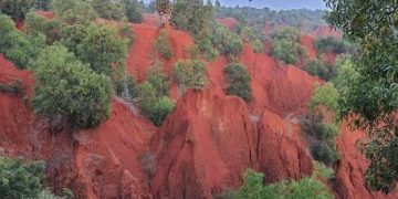 ఎర్రమట్టి దిబ్బల విధ్వంసంపై సీఎంఓ ఆగ్రహం