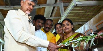 మల్బరీసాగుతో ఆదర్శంగా నిలిచిన రైతుకు ముఖ్యమంత్రి అభినందనలు