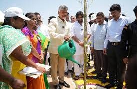 వచ్చే ఏడాదికి 5.5 కోట్ల మొక్కలు!