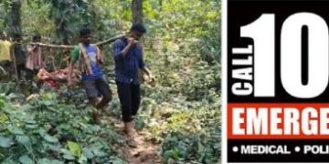 ఏడు వాగులు దాటి..ప్రాణాలు కాపాడి..