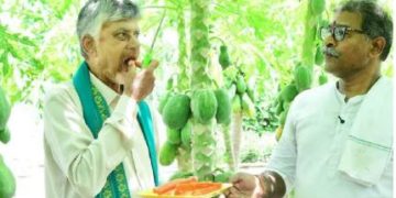 లింగంగుంటలో ప్రకృతి వ్యవసాయం