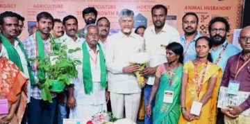 డిసెంబరులోగా ‘బంగారు కుటుంబాలకు’ భరోసా!