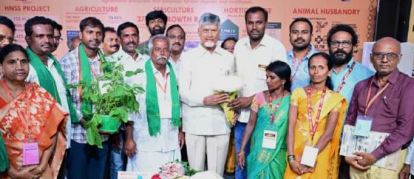 డిసెంబరులోగా ‘బంగారు కుటుంబాలకు’ భరోసా!