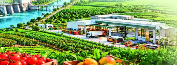 సీమలో ఉద్యాన విప్లవం
