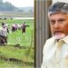 నేడు అన్నదాత సుఖీభవ నిధుల విడుదల